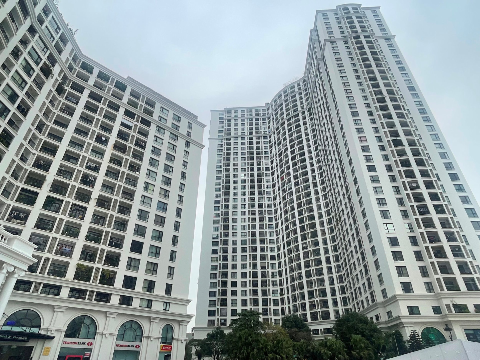 ảnh bài trên