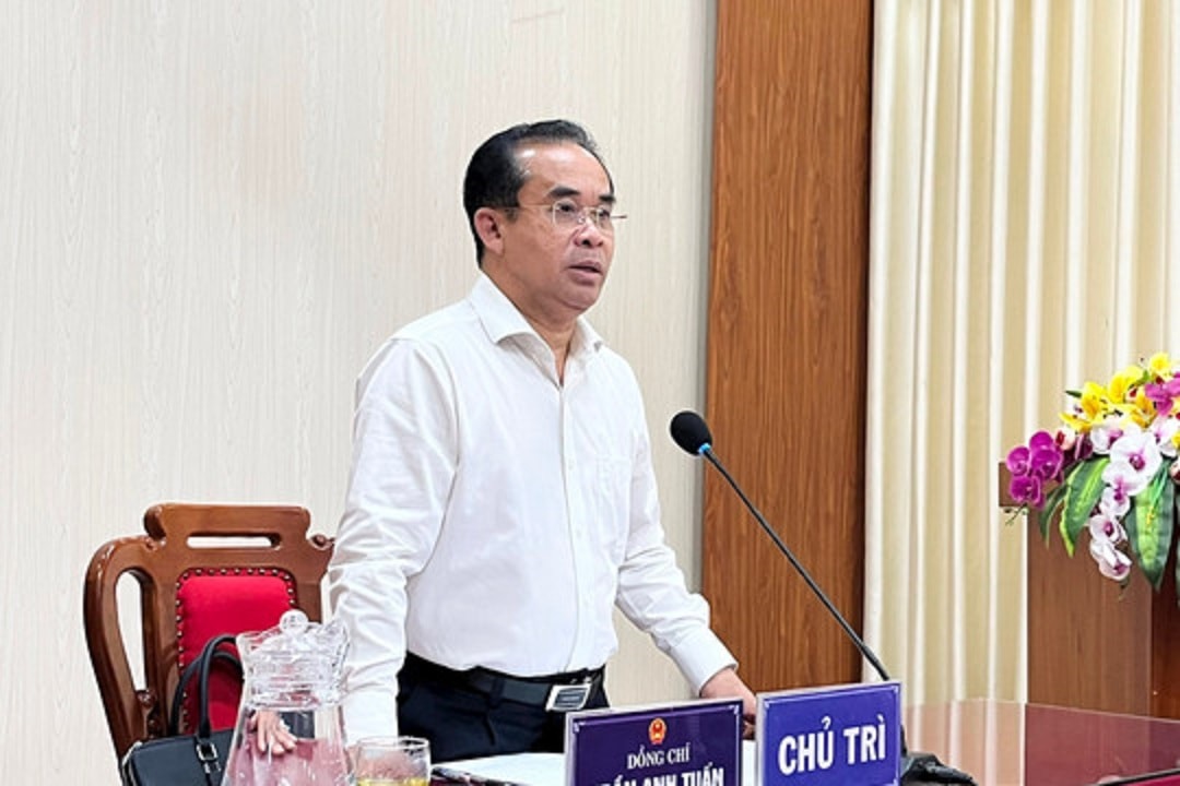ANH 6
