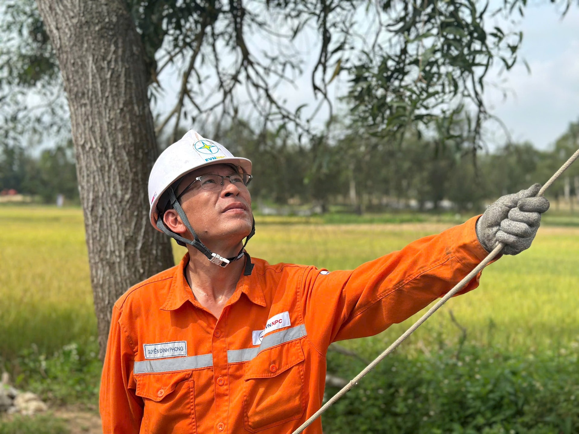 ĐIỆN LỰC11