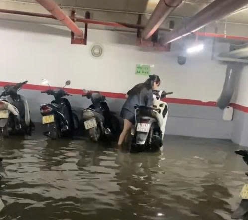 ảnh 2 trên
