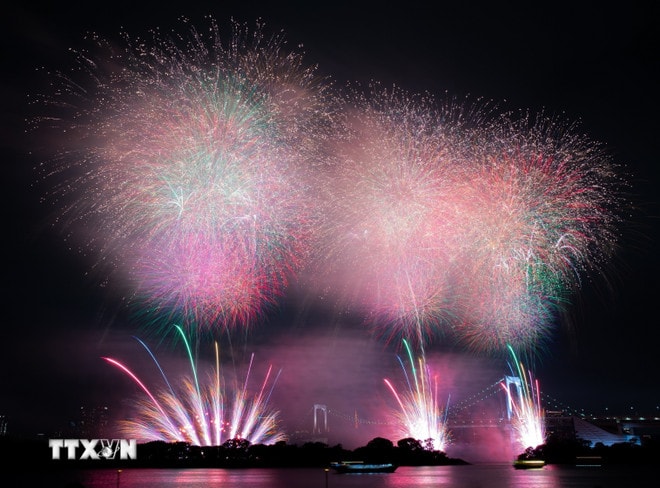 ttxvn-phao-hoa-tokyo-14.jpg