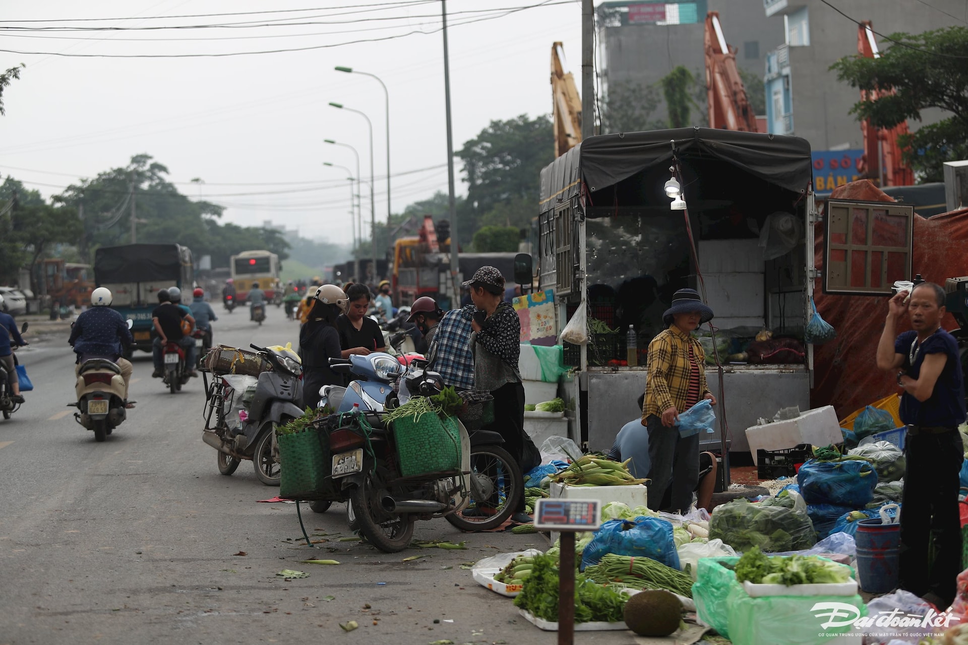cho-mai-linh11.jpg