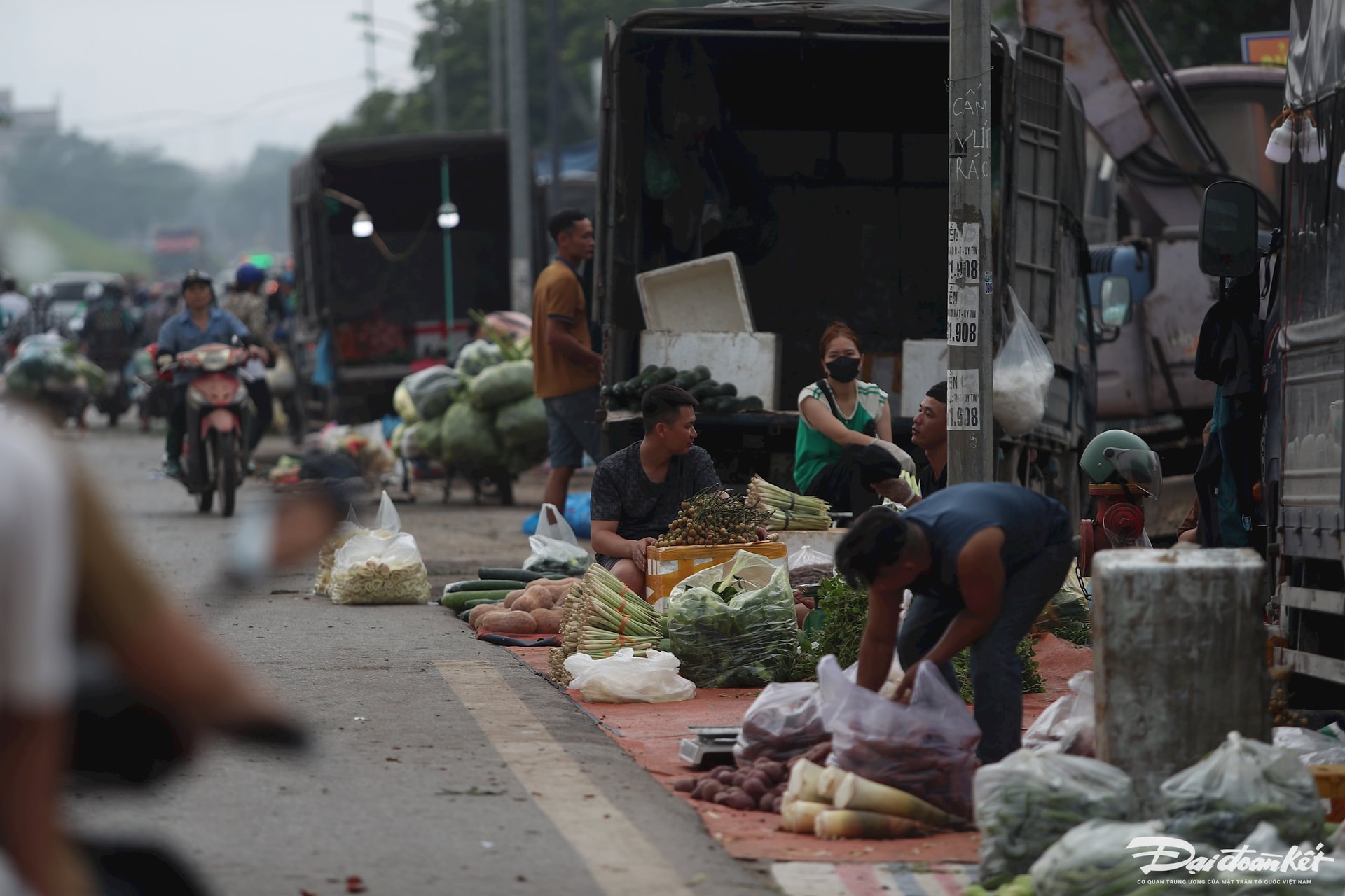 cho-mai-linh13.jpg
