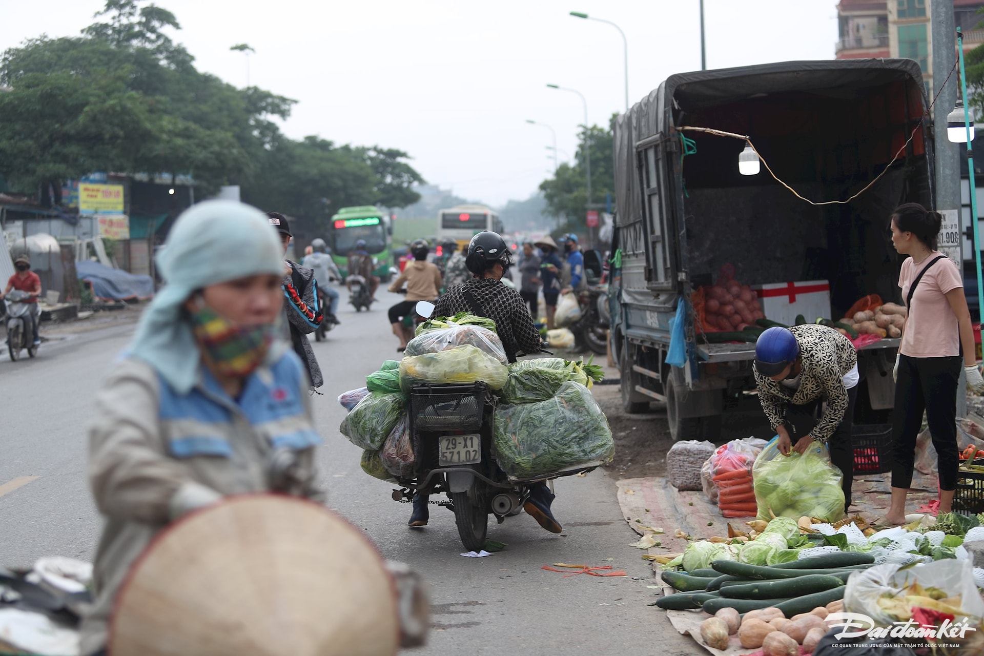 cho-mai-linh15.jpg