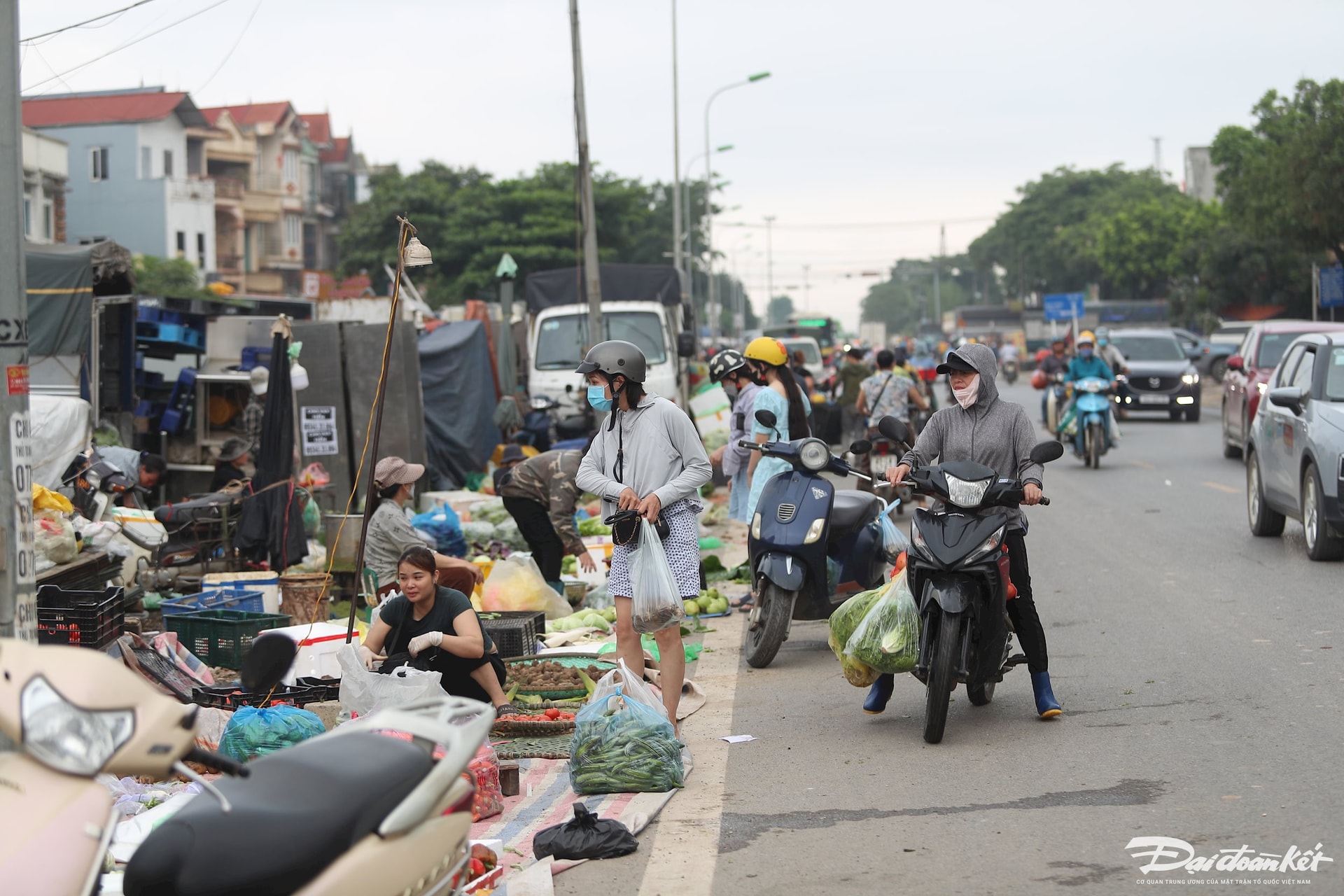 cho-mai-linh17.jpg