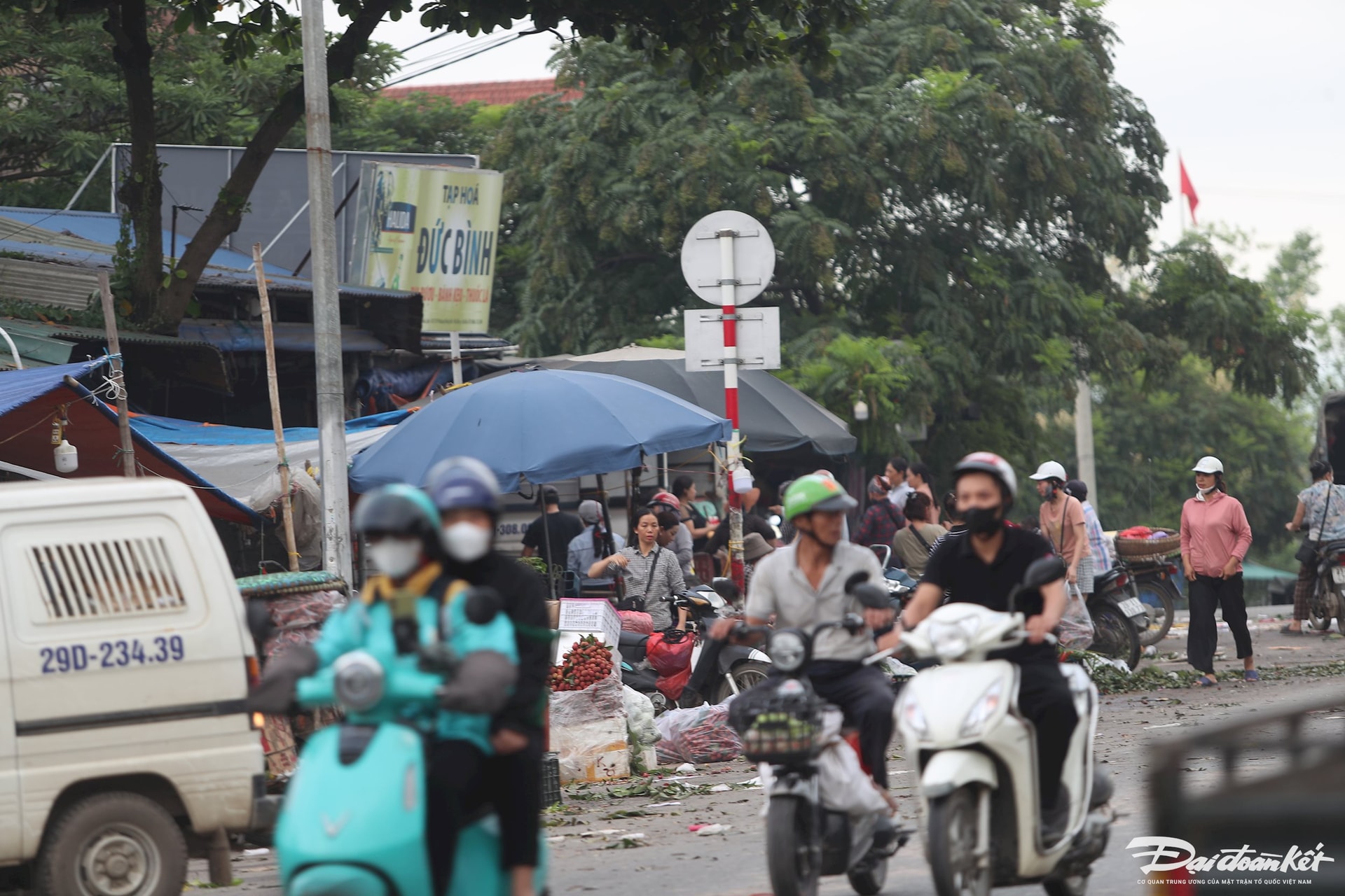 cho-mai-linh23.jpg
