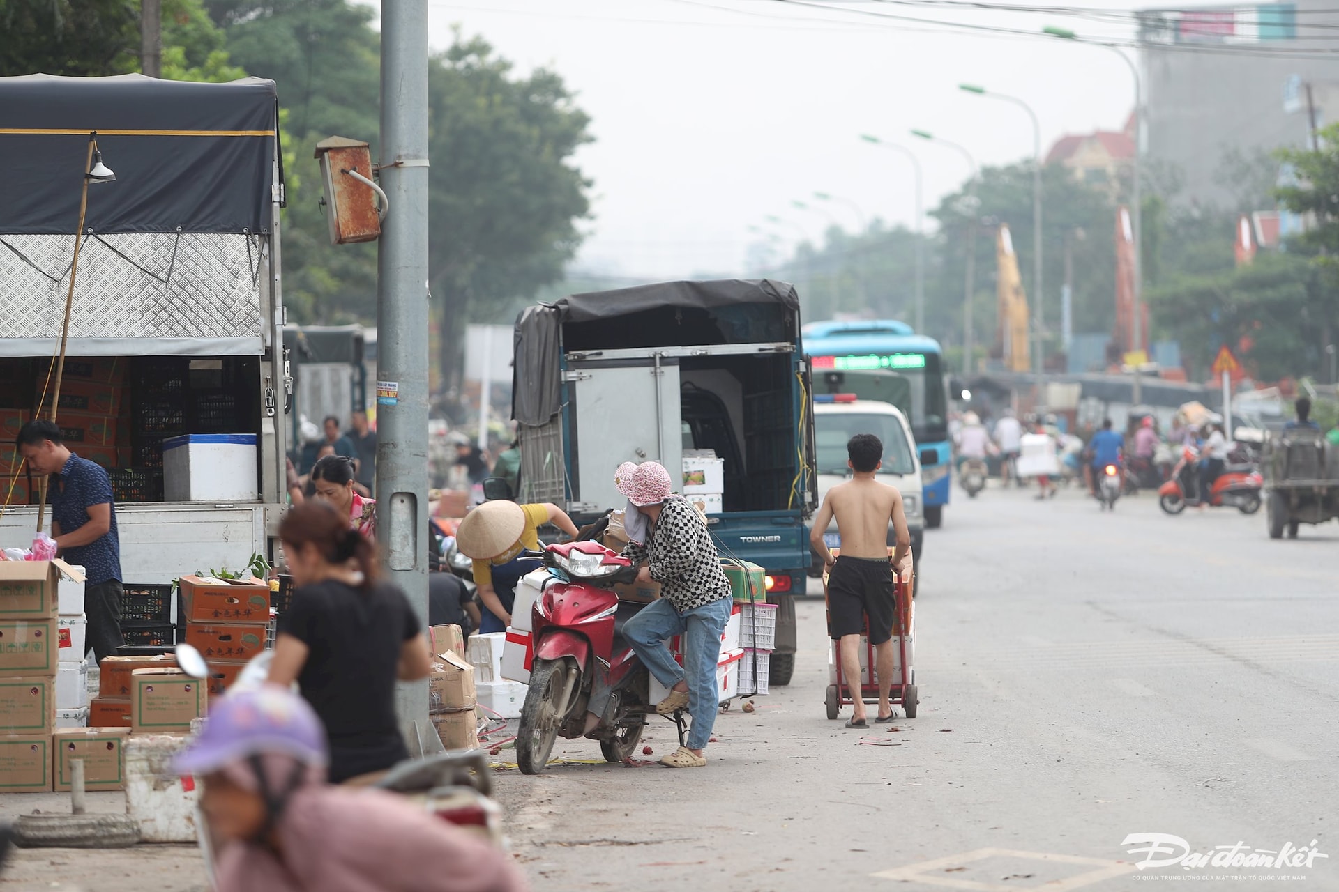 cho-mai-linh25.jpg