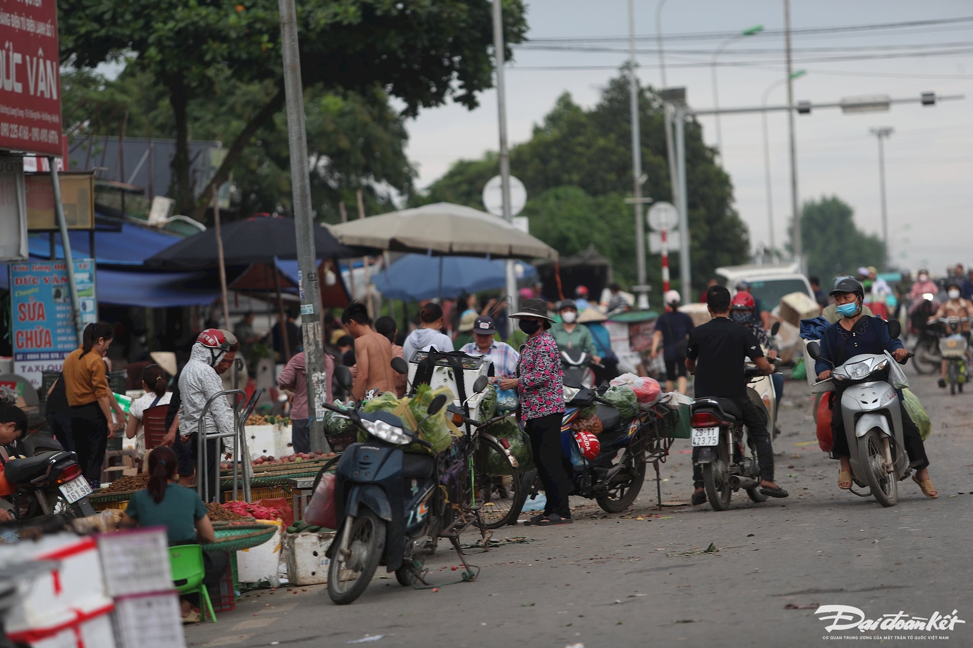 cho-mai-linh3.jpg