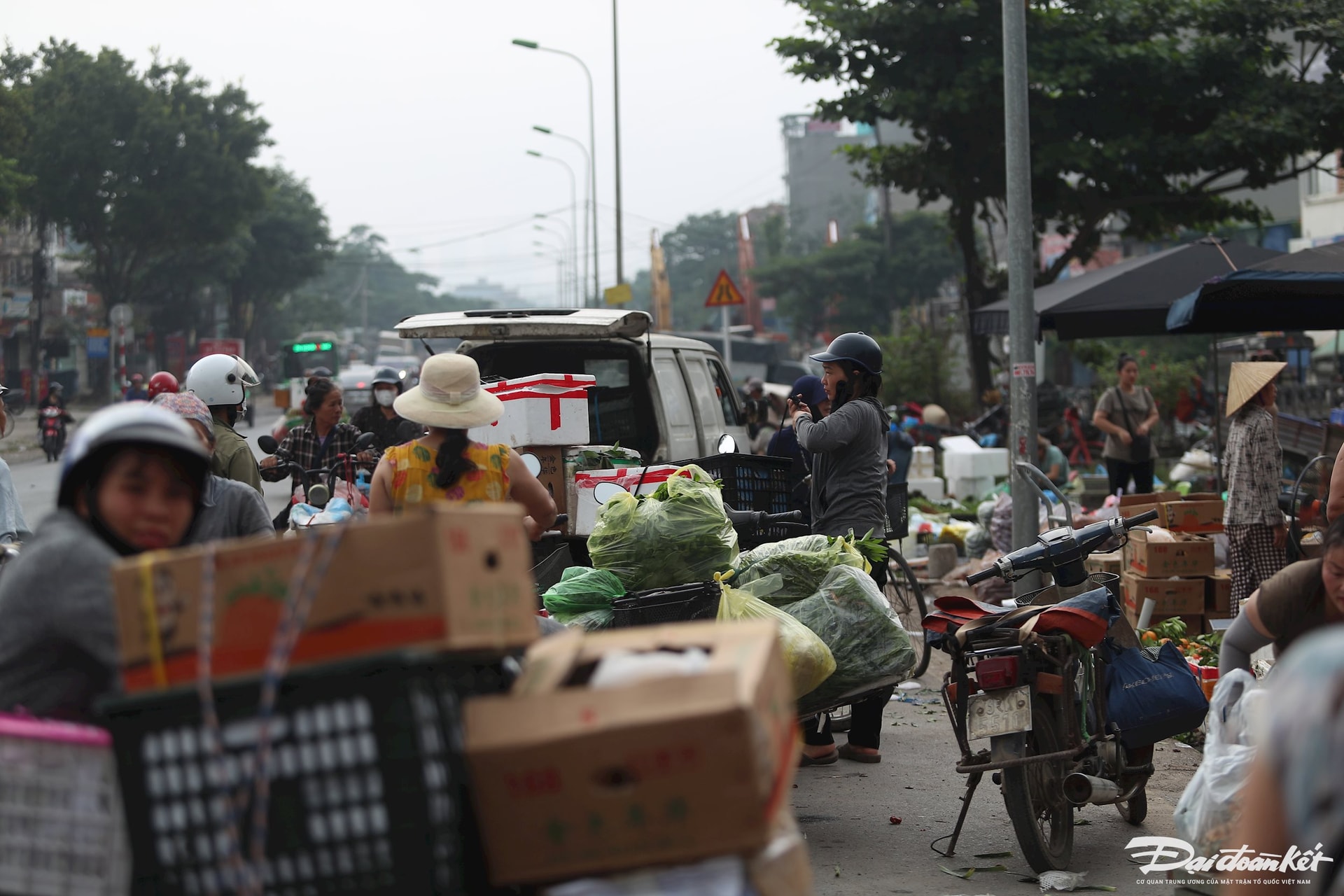 cho-mai-linh5.jpg