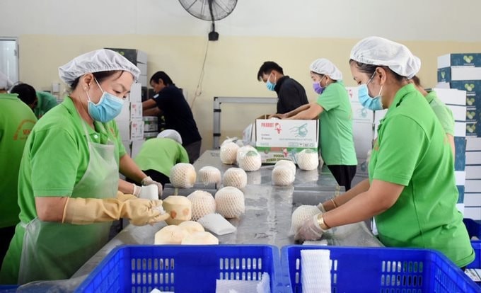 ảnh tăng sức cạnh tranh