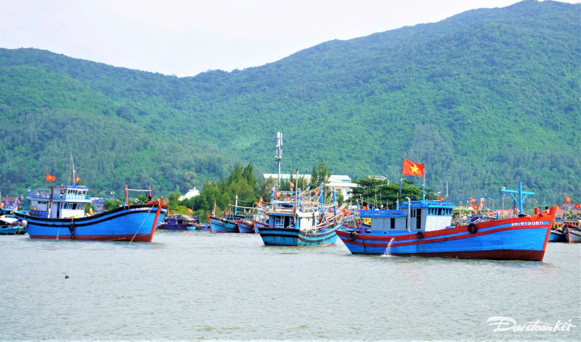 CANG CA 1