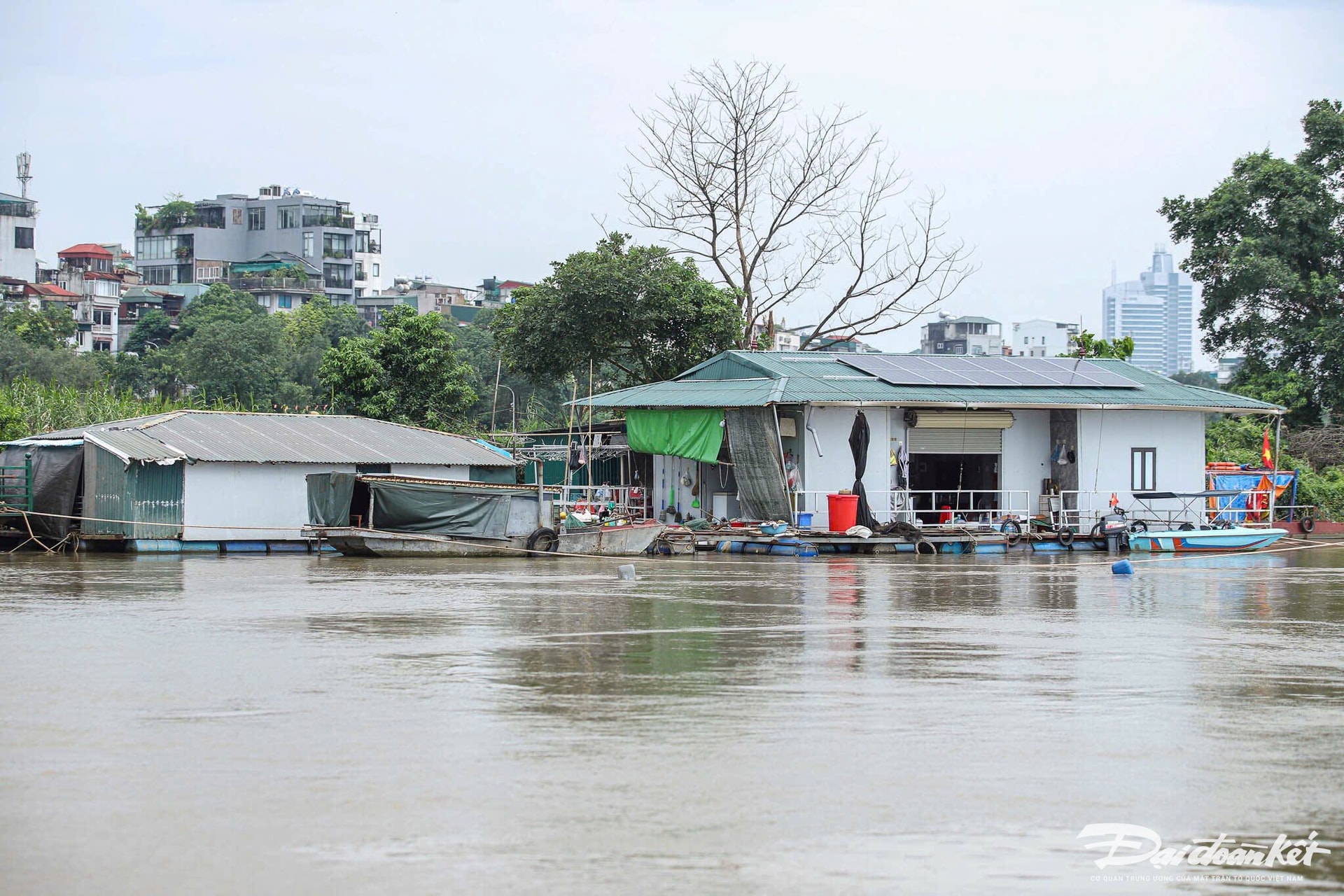 cảnh báo17