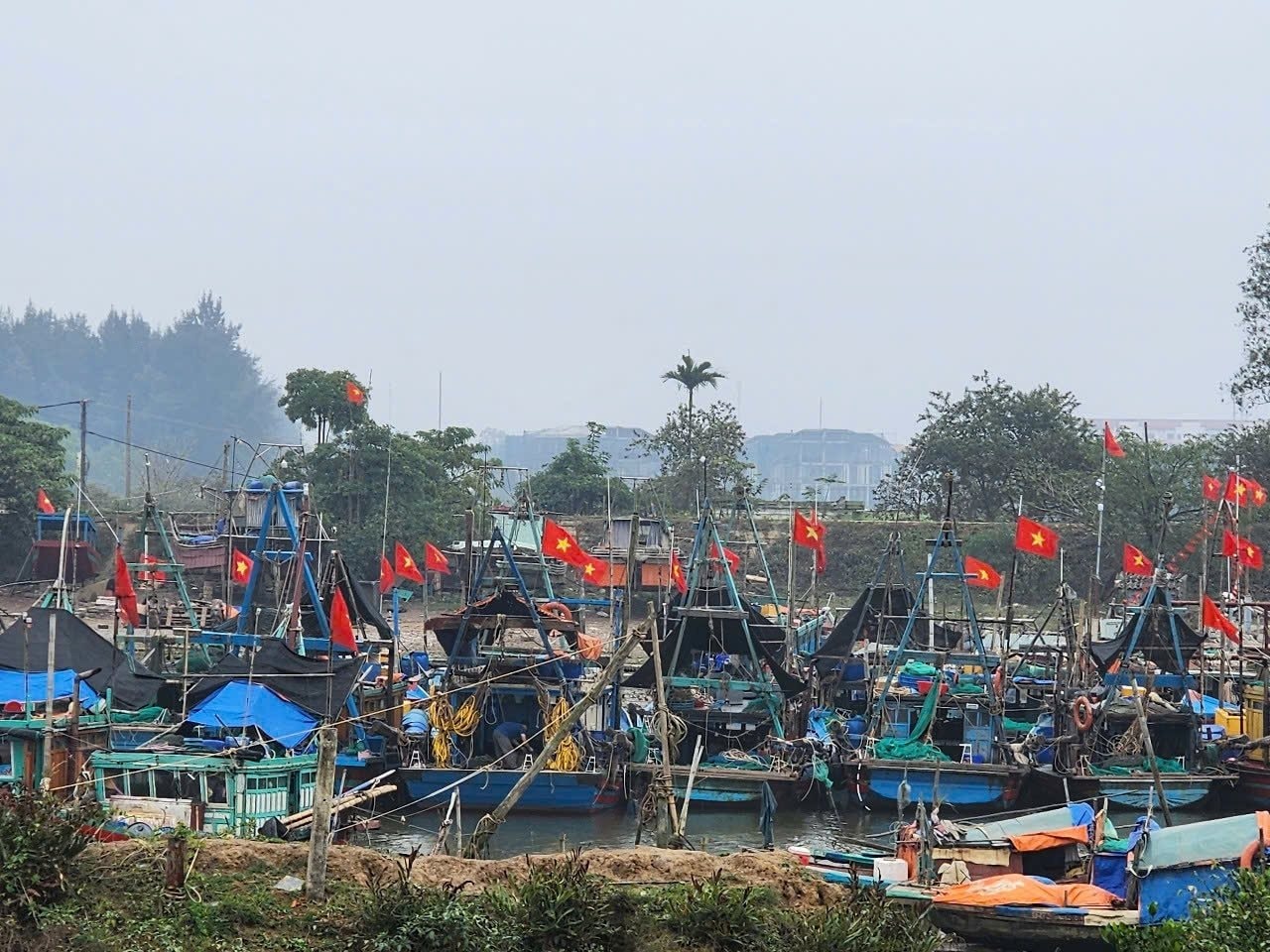 Sầm Sơn 6