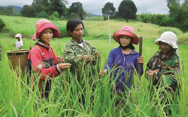 giảm nghèo 24-7