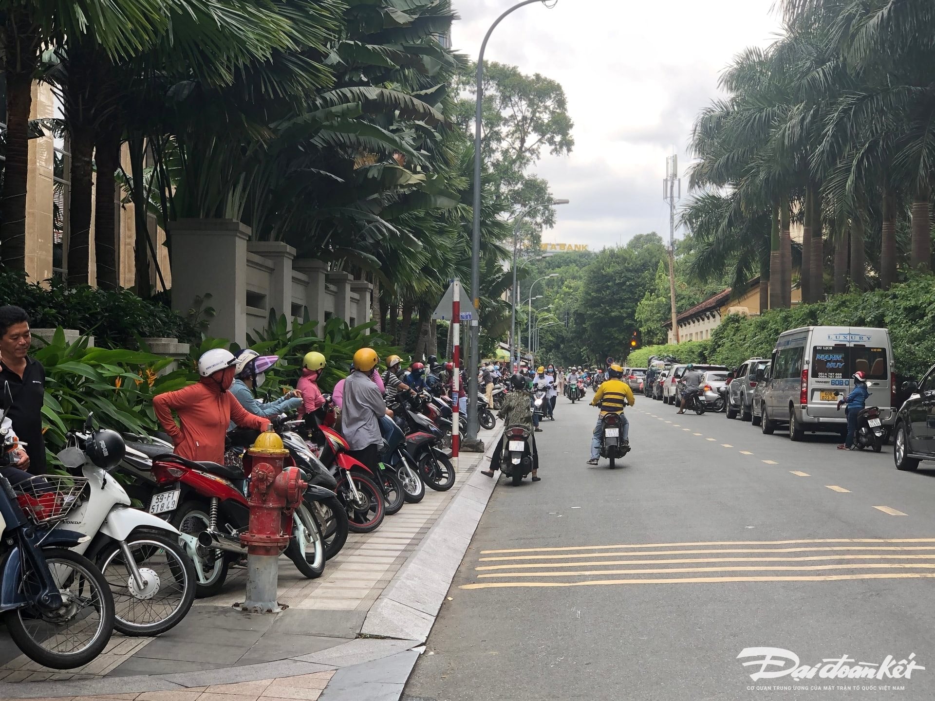 image.daidoanket.vn-images-upload-nghipm-02062023-_anh-bai-tren-ca01.jpg