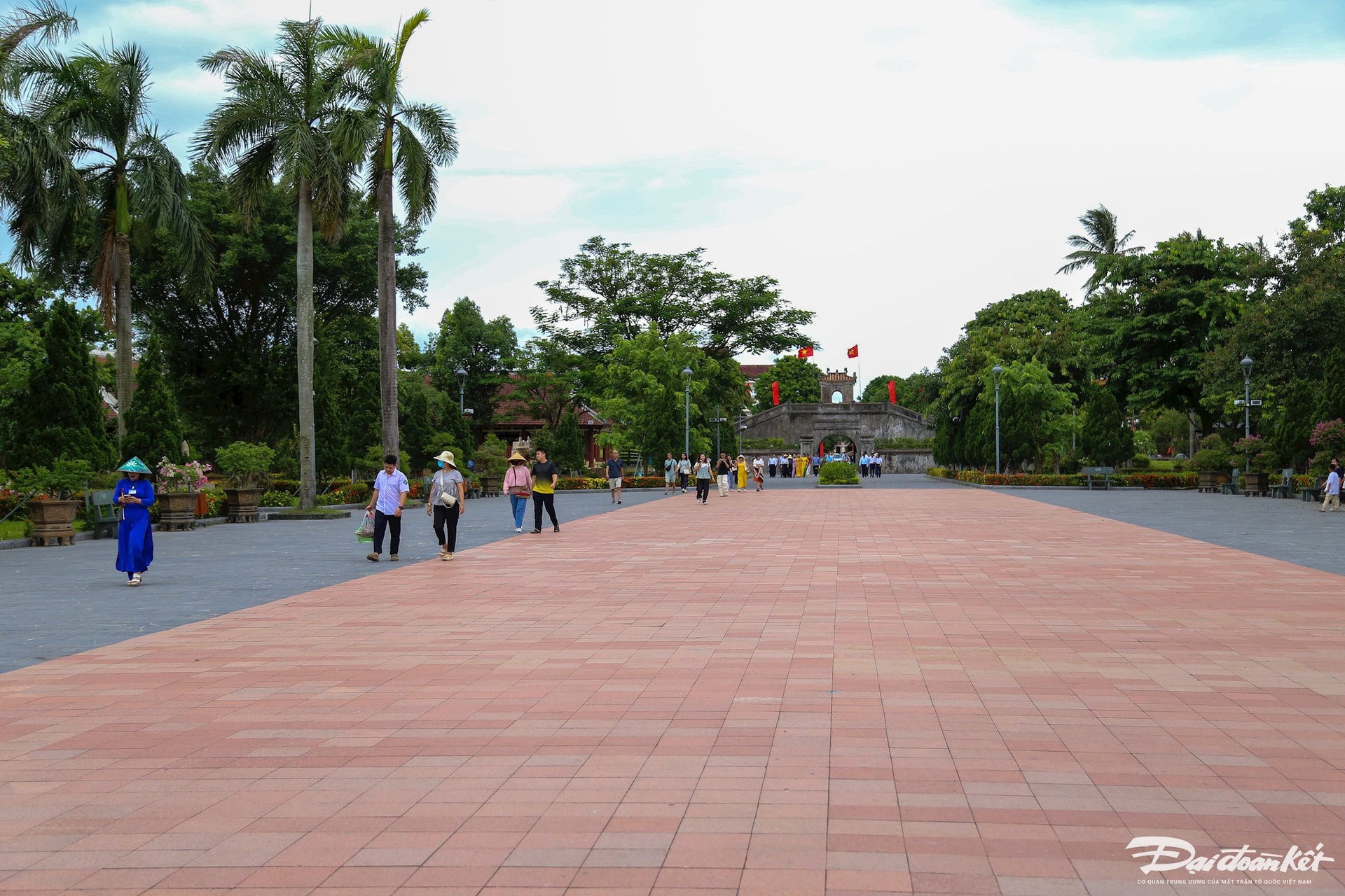 thanh-co-2.jpg