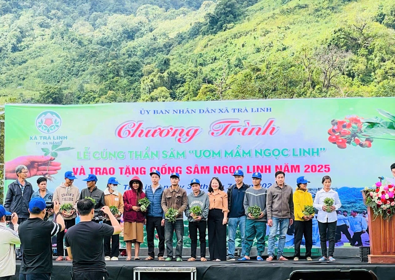 TRA LINH 1