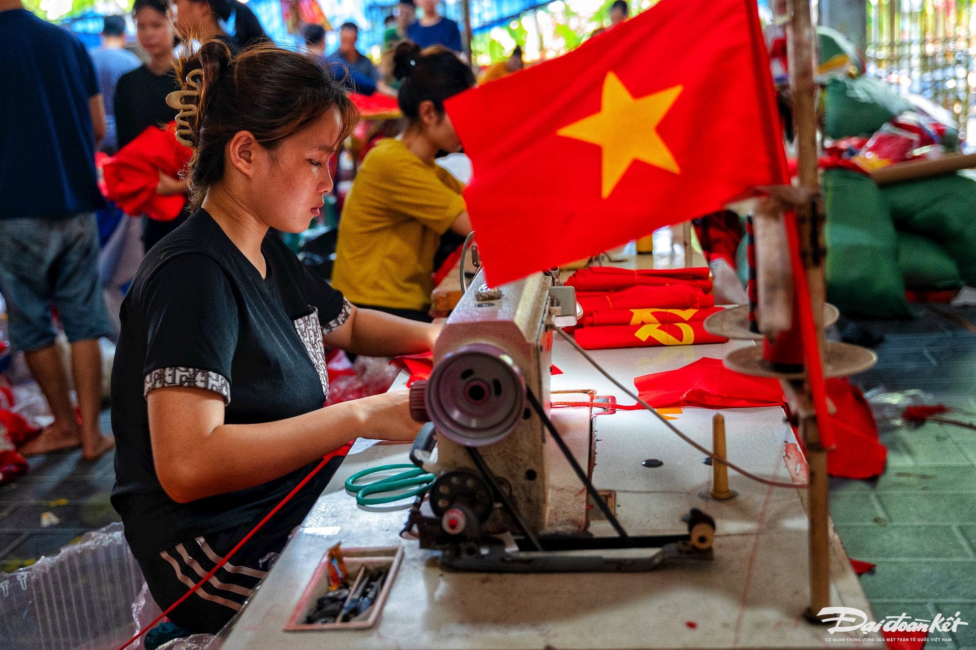 cờ đỏ2