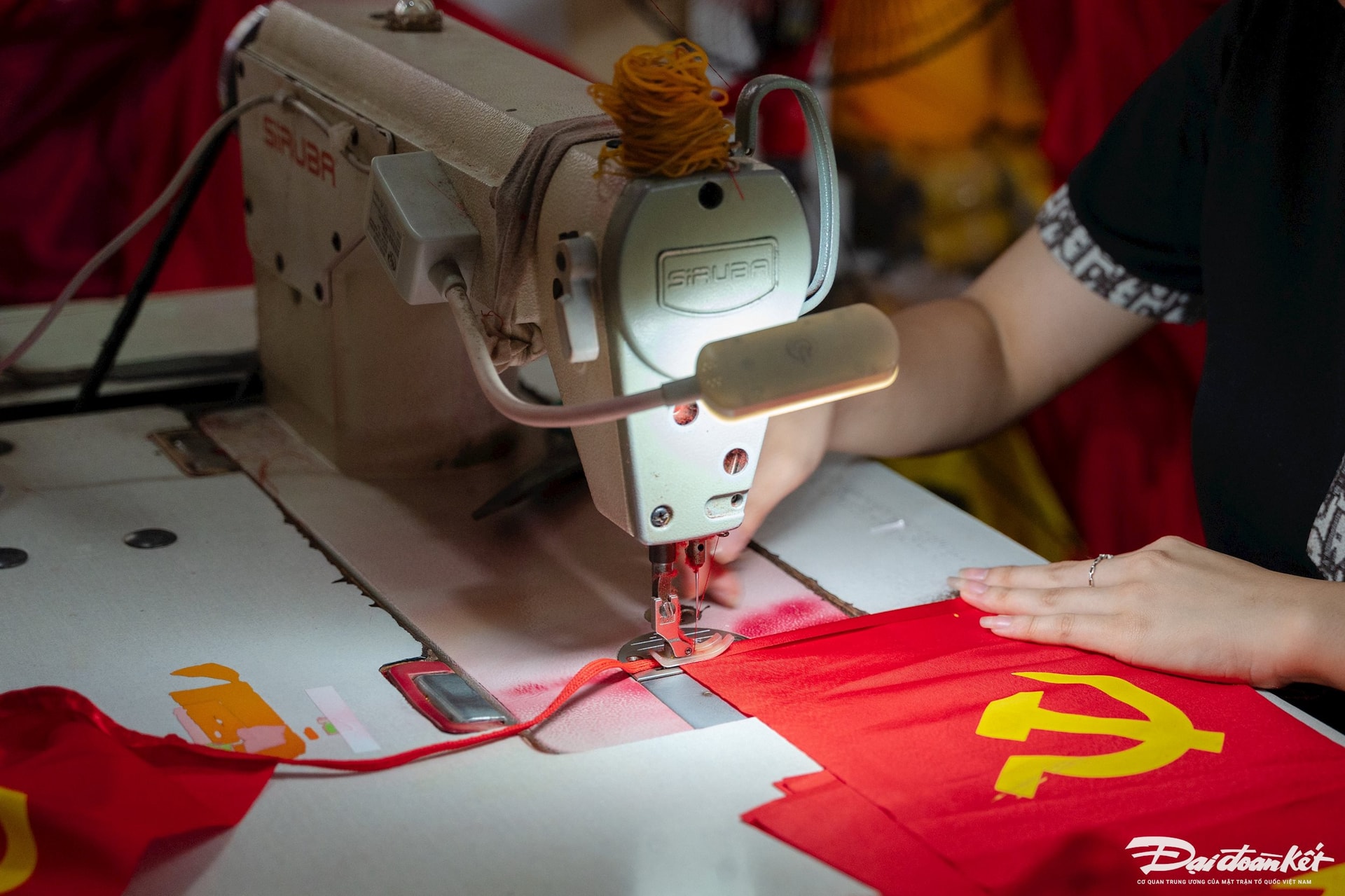 cờ đỏ3