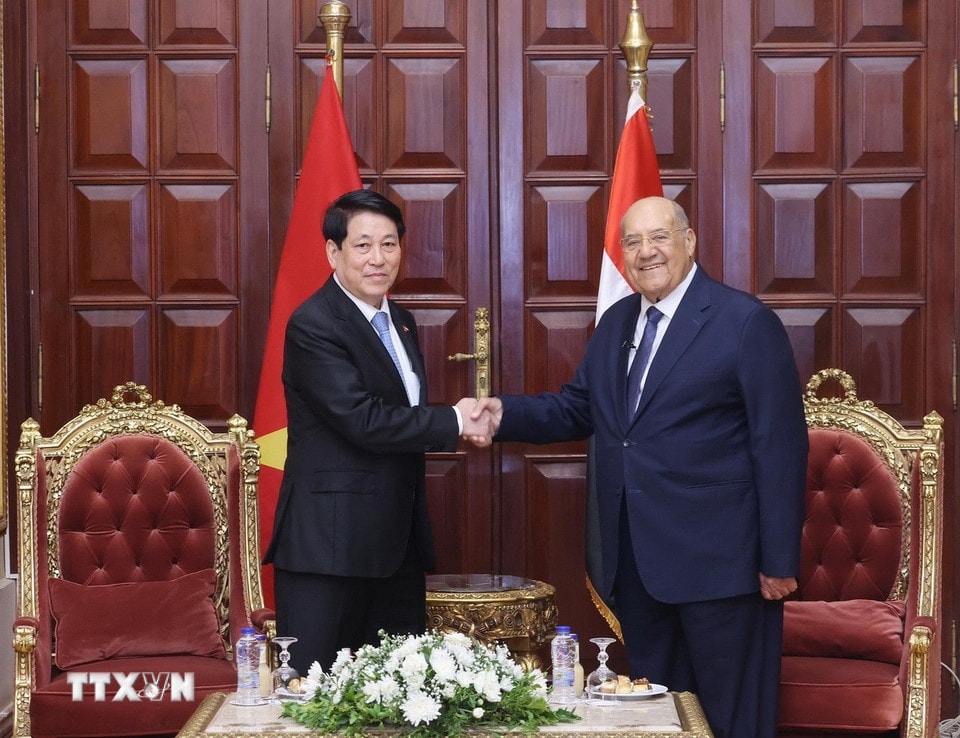 Chủ tịch nước Lương Cường hội kiến Chủ tịch Thượng viện Ai Cập Abdel-Wahab Abdel-Razek. (Ảnh: Lâm Khánh/TTXVN)