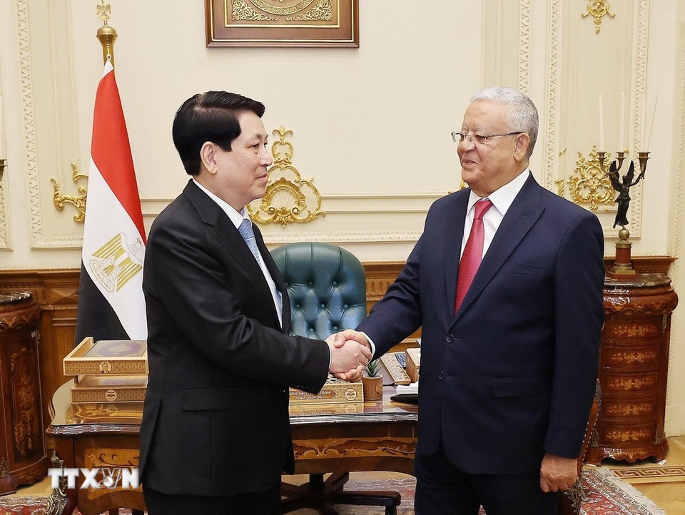 Chủ tịch nước Lương Cường với Chủ tịch Hạ viện Ai Cập Hanafy El-Gebaly tại trụ sở Hạ viện Ai Cập. (Ảnh: Lâm Khánh/TTXVN)