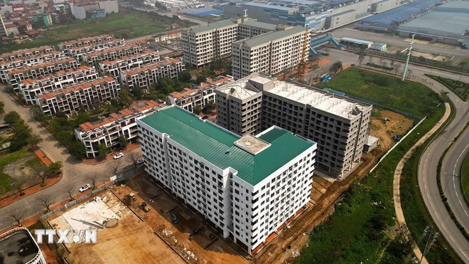 ttxvn-tin-dung-tphcm.jpg