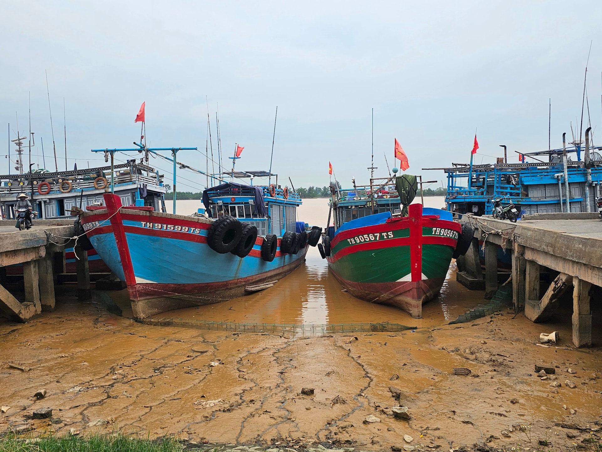 Ảnh 1l cang ca