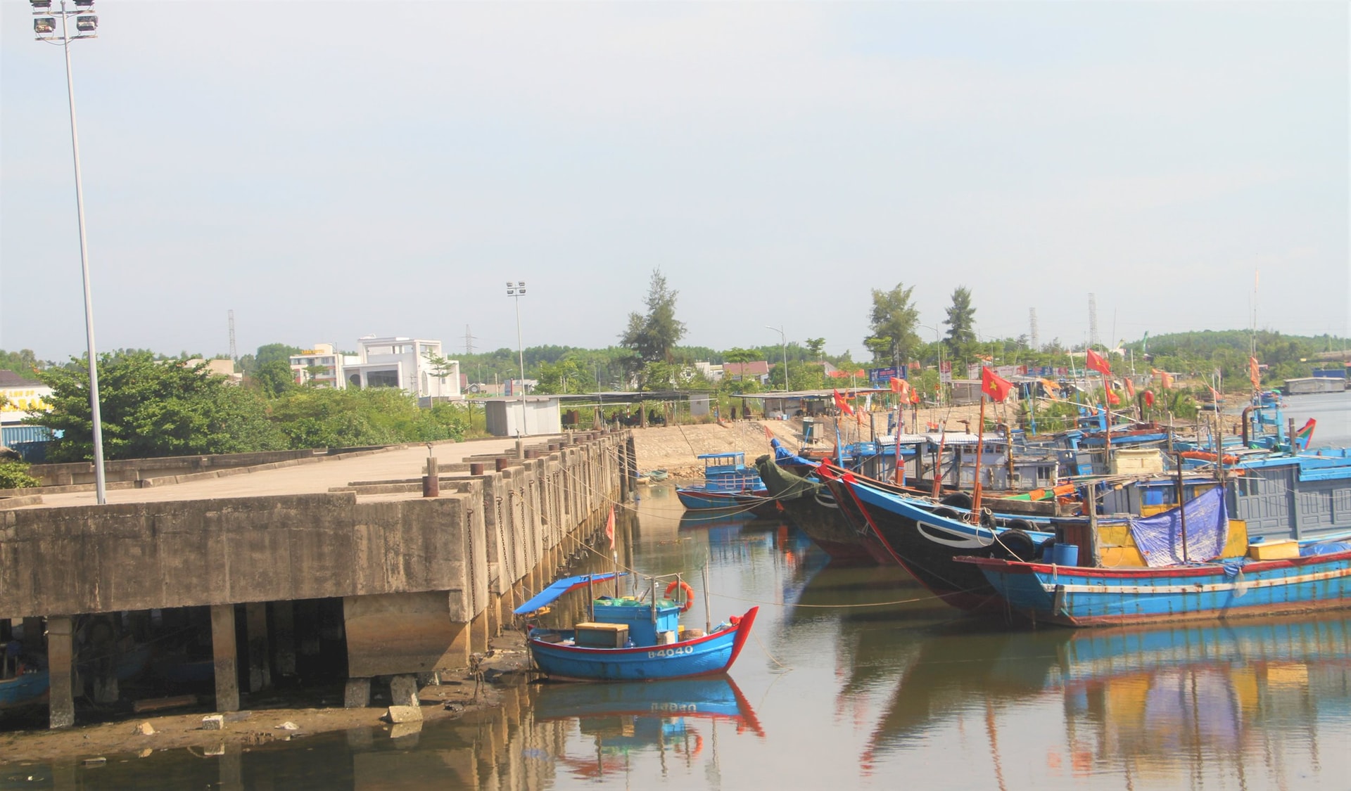 CANG 6