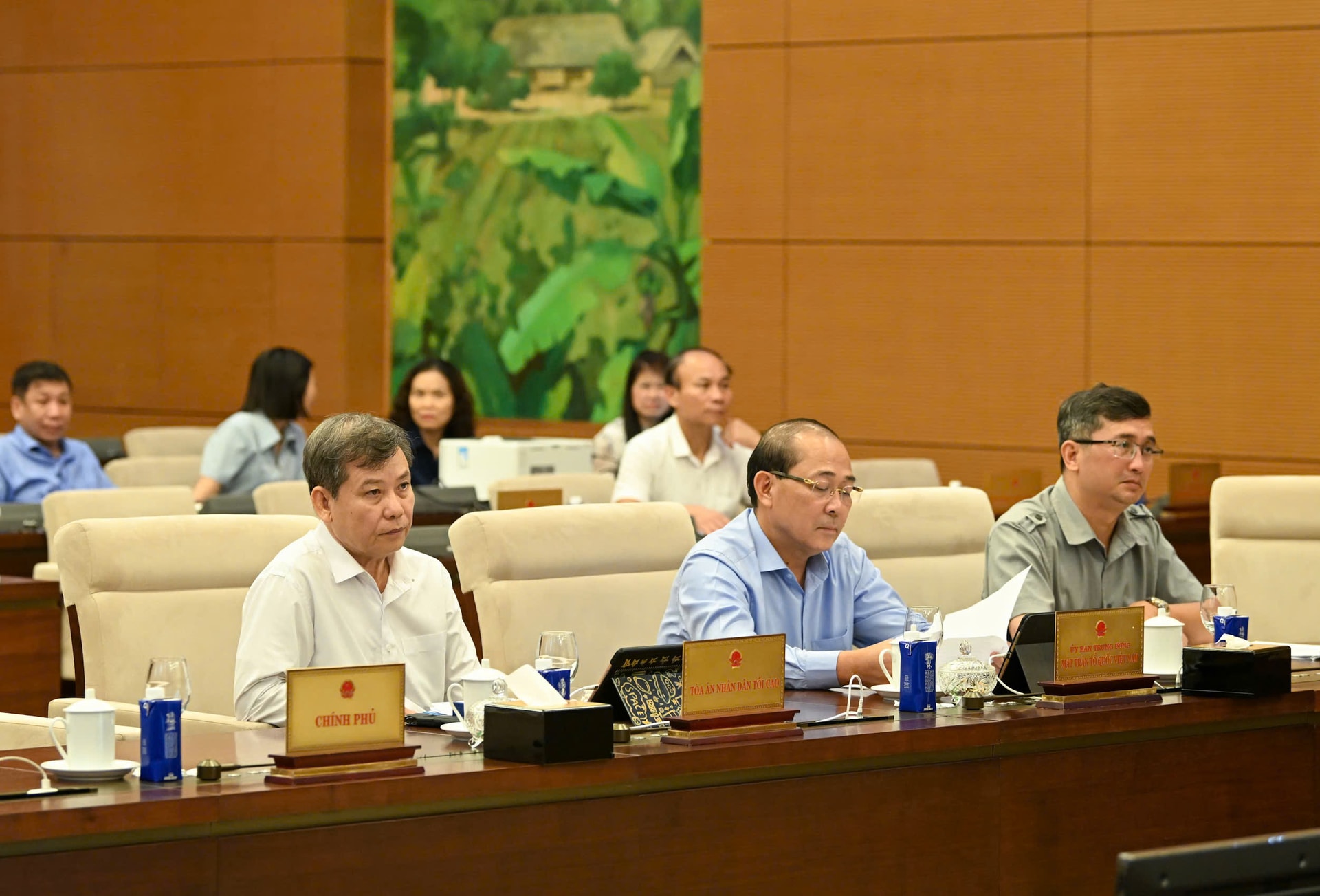 toancanh11-8.jpg