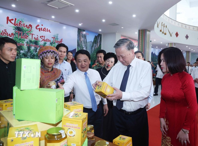 ttxvn-tong-bi-thu-to-lam-lam-viec-voi-ban-thuong-vu-tinh-uy-tuyen-quang-8210167.jpg