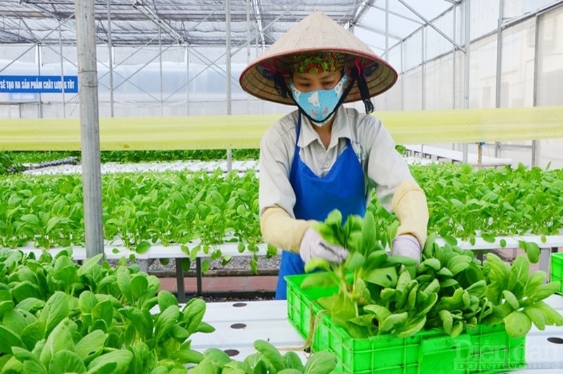 diendandoanhnghiep.vn-media-uploaded-501-2024-07-27-_luat-thu-do-2024-1-1-enternews-1722075558.jpg