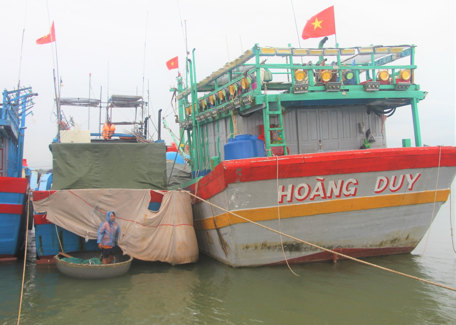 NGU DAN 2