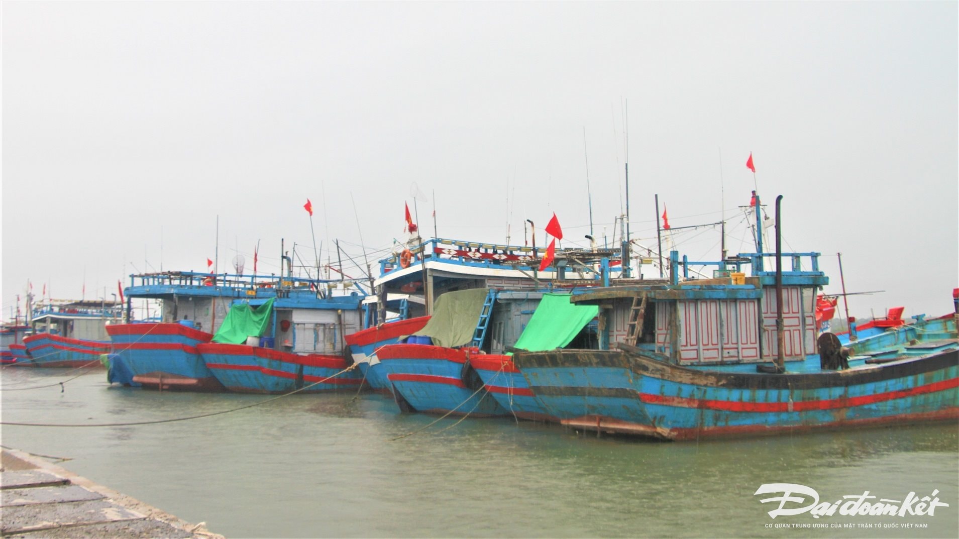 NGU DAN 3