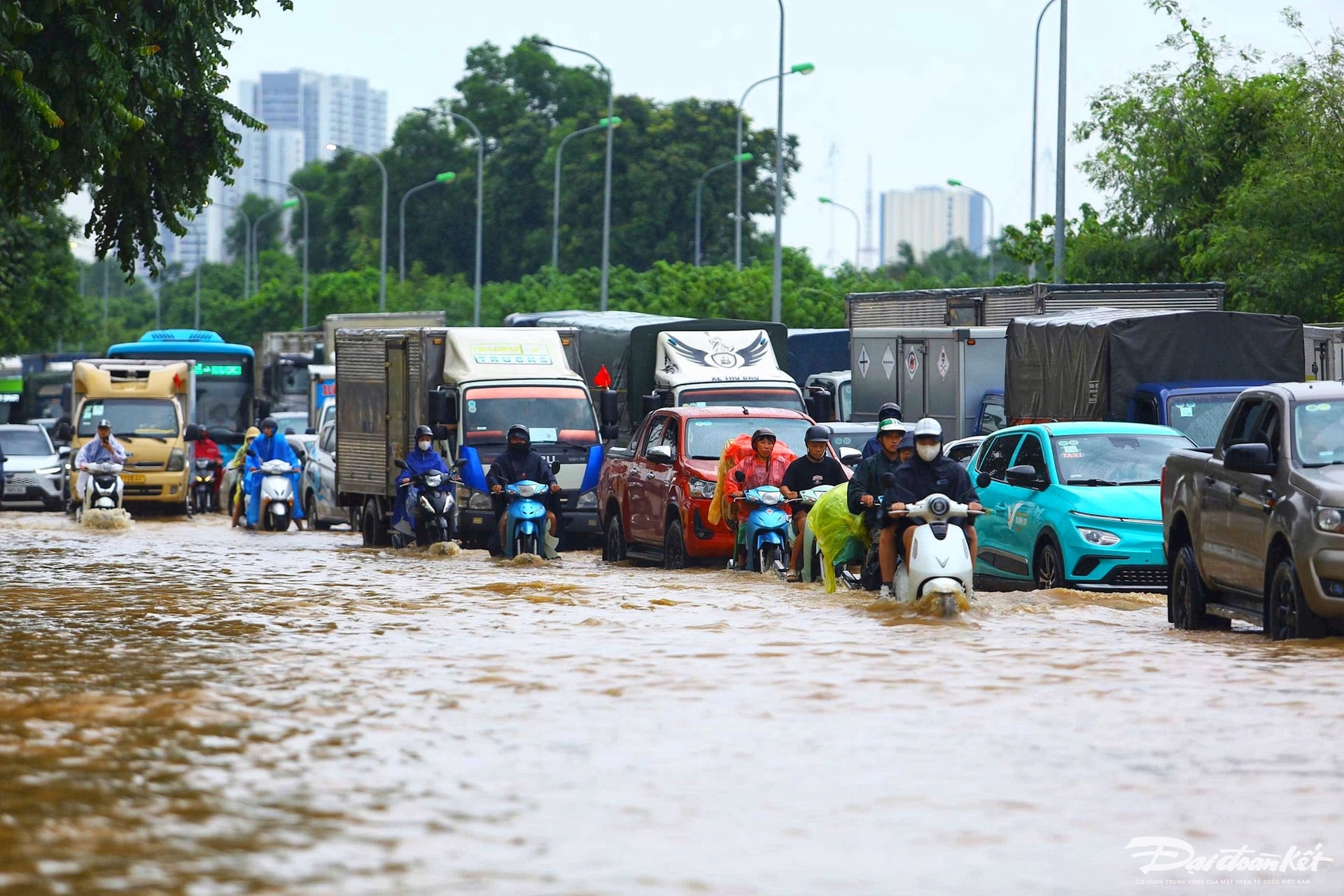 đại lộ17