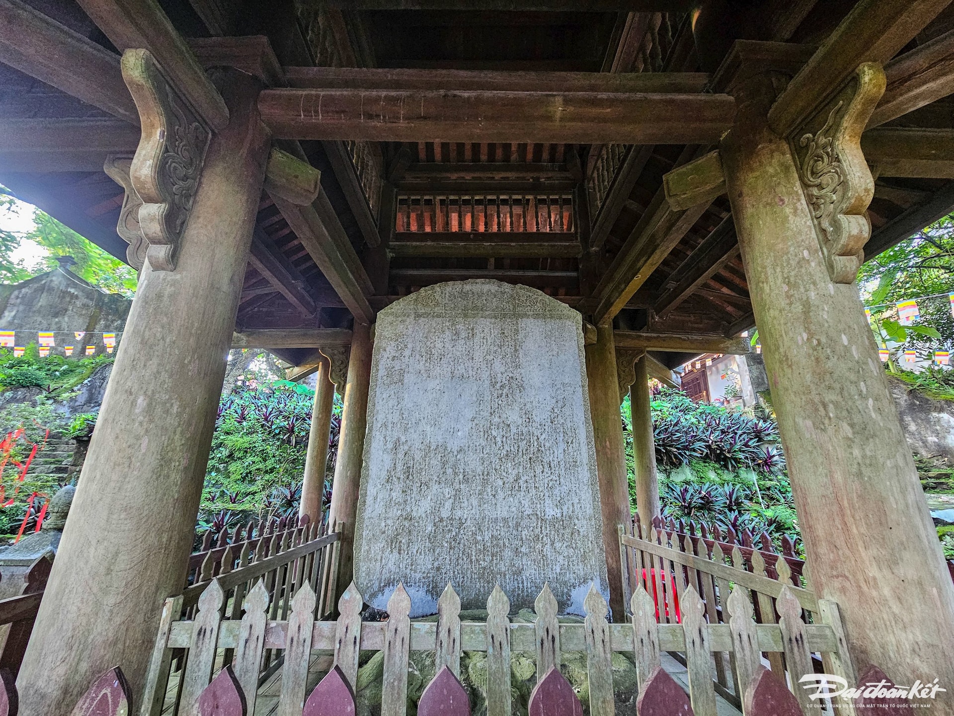 20250812_173525.jpg