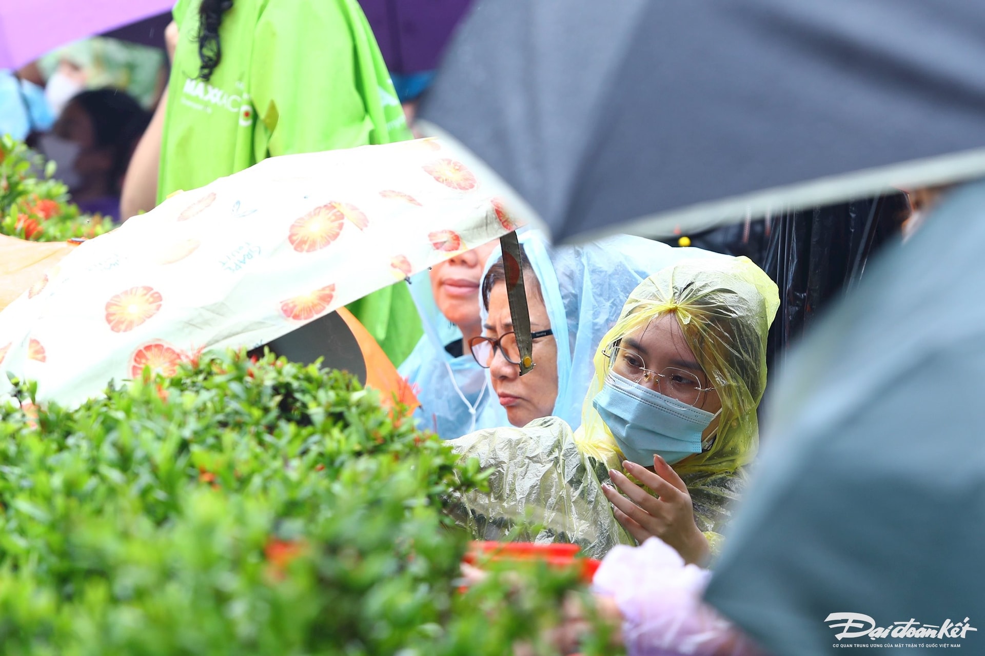 đội mưa11