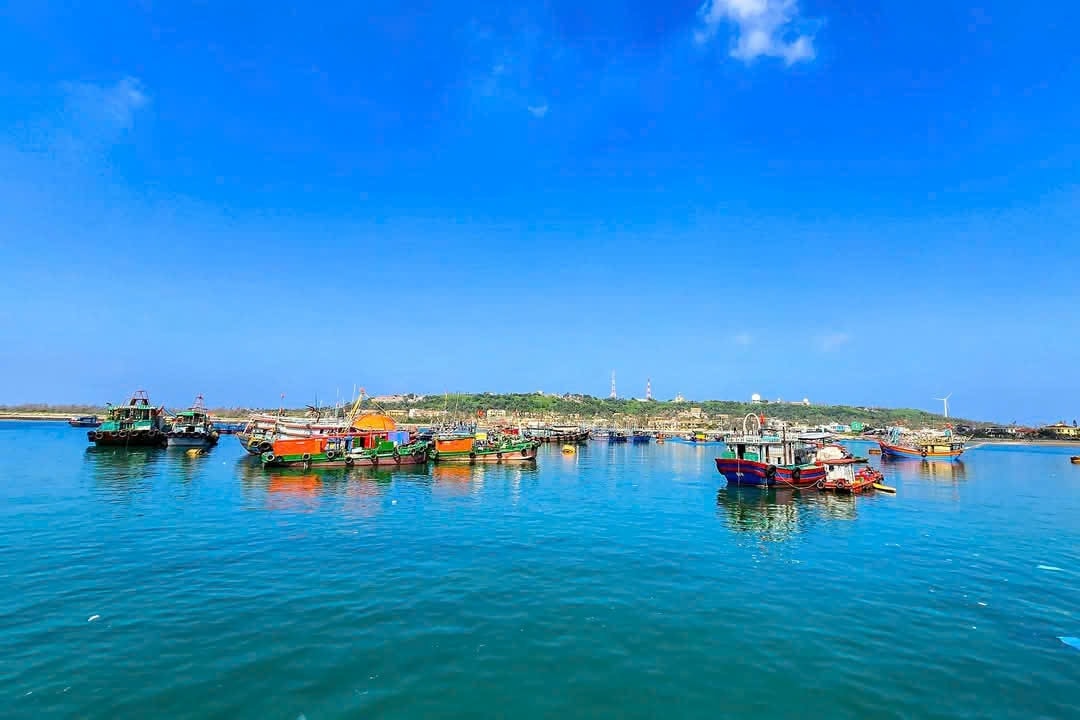 Một góc BLV 1