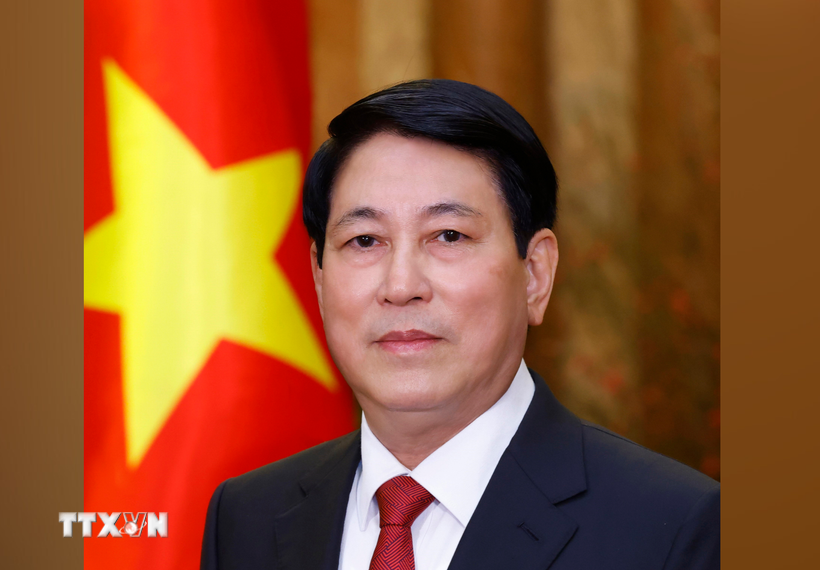 Chủ tịch nước Lương Cường. (Ảnh: Lâm Khánh/TTXVN)