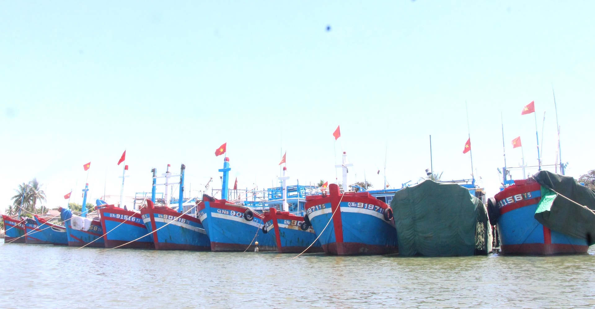 NGU DAN 5