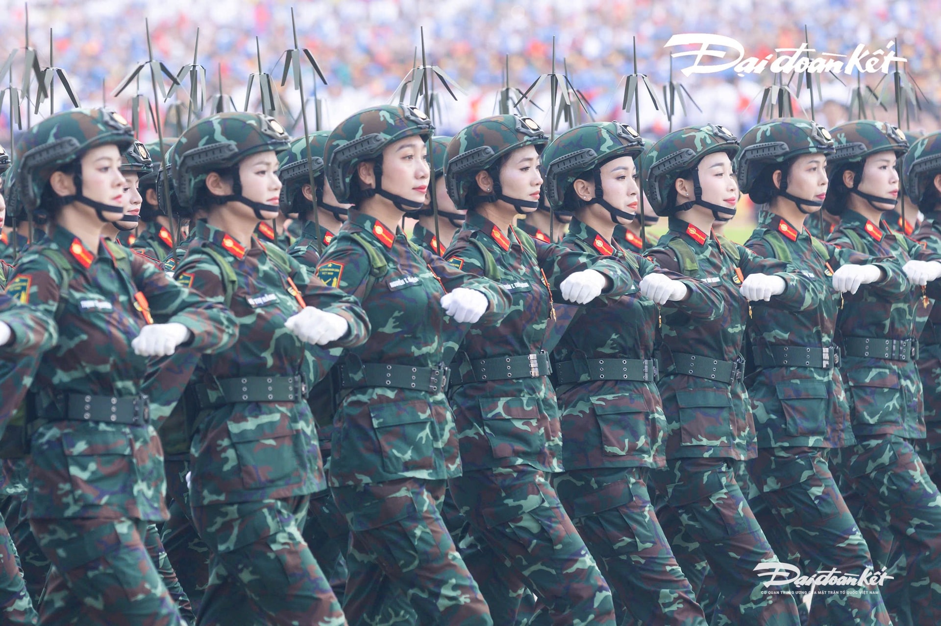gen-h-Thông tin