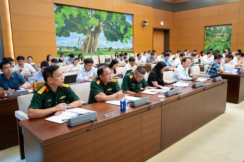 canh5-9.jpg