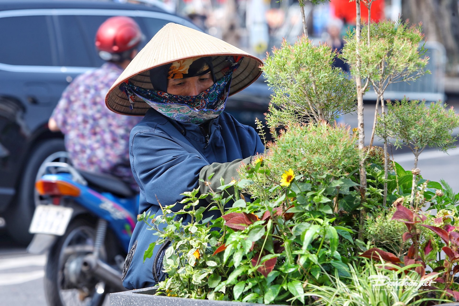 trạm sạc6