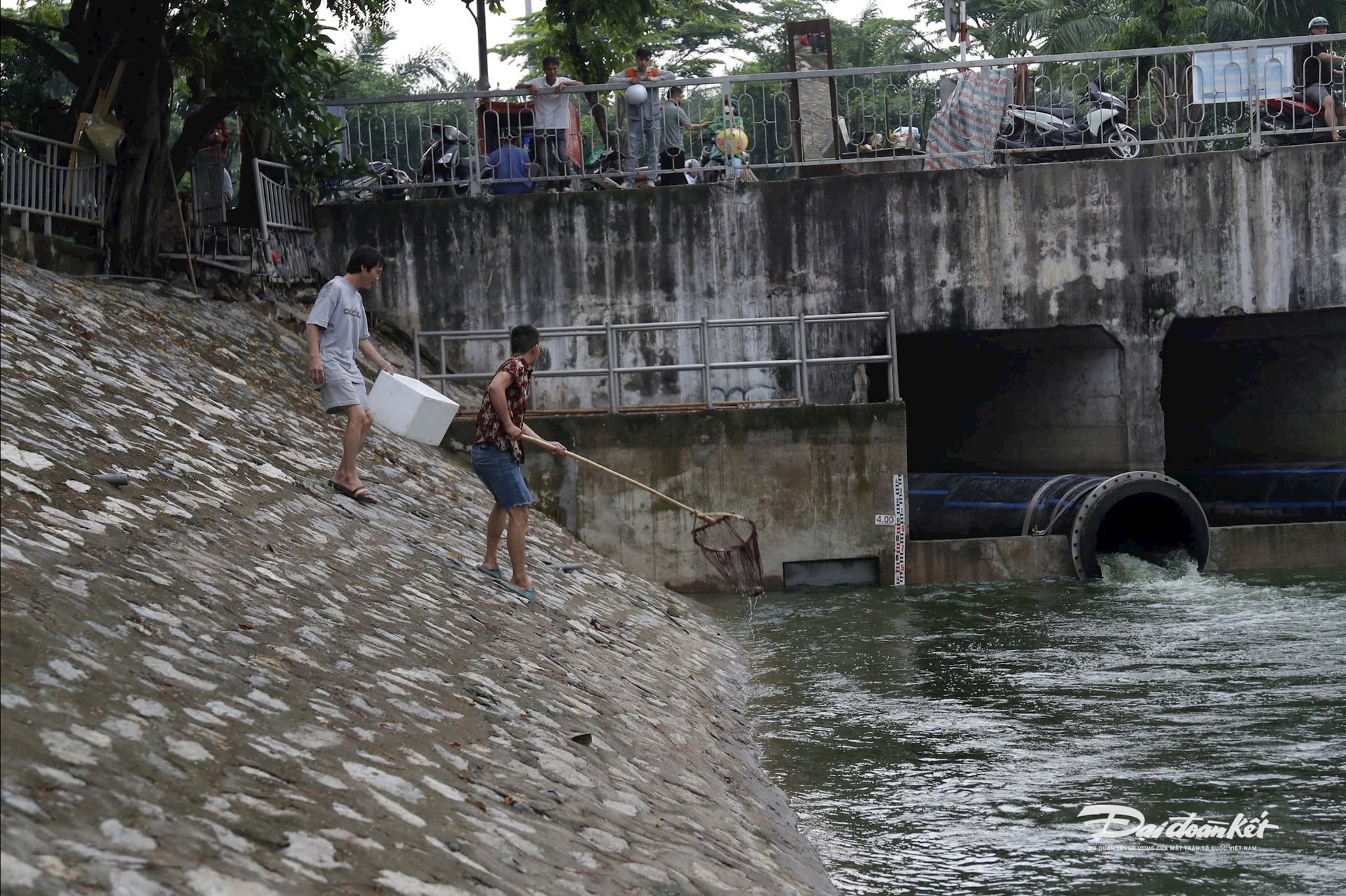 tô lịch2
