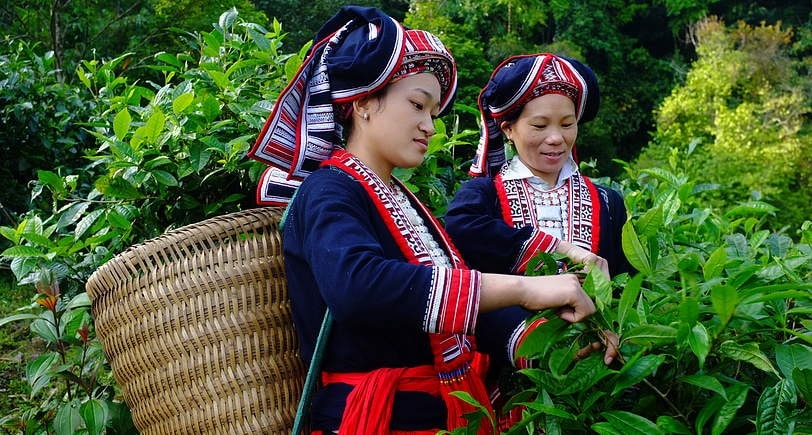 dieu-chinh-noi-dung-chuong-trinh-phat-trien-kinh-te-xa-hoi-vung-dan-toc-thieu-so_68a89af41918b.jpg