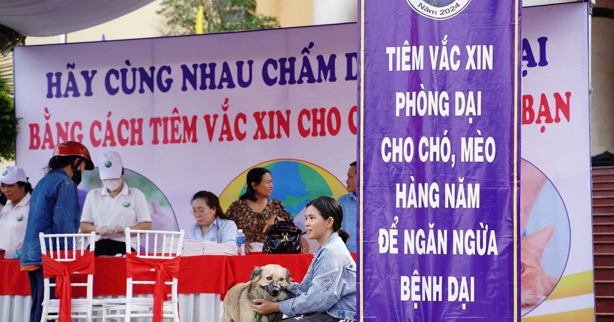 Người d&#226;n cần ch&#250; &#253; ph&#242;ng bệnh dại, kh&#244;ng đ&#249;a nghịch với ch&#243; m&#232;o