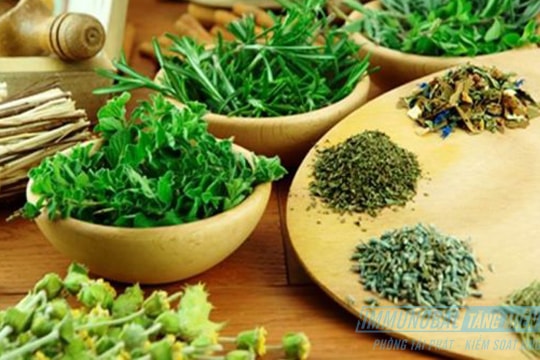 Nguy cơ dị ứng nặng khi sử dụng thuốc nam
