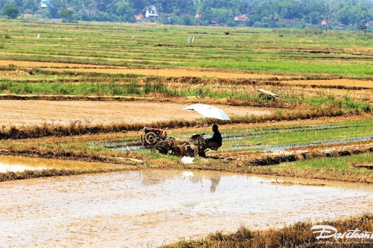 Hà Nội: Tăng cường giám sát bệnh sởi