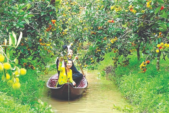 Xốn xang Tết vườn Xốn xang Tết vườn
